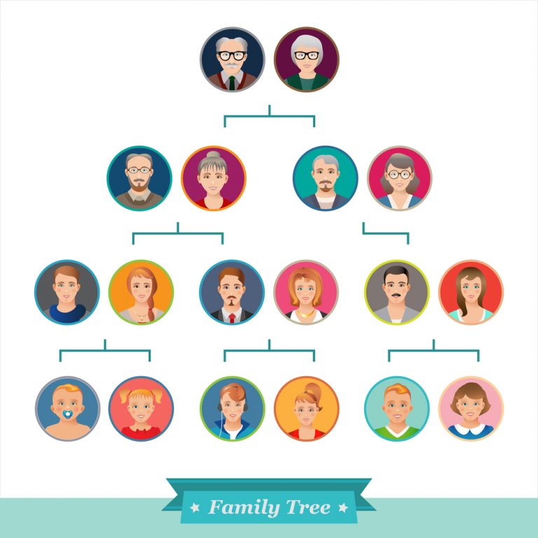 family-tree-chart-shieldmysenior